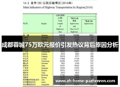 成都蓉城75万欧元报价引发热议背后原因分析 成都蓉城75万欧元报价引发热议背后原因分析