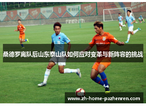 桑德罗离队后山东泰山队如何应对变革与新阵容的挑战 桑德罗离队后山东泰山队如何应对变革与新阵容的挑战