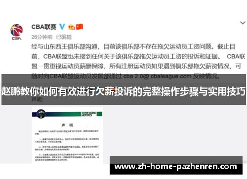 赵鹏教你如何有效进行欠薪投诉的完整操作步骤与实用技巧