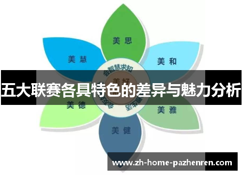 五大联赛各具特色的差异与魅力分析