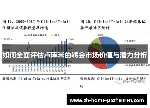 如何全面评估卢库米的转会市场价值与潜力分析 如何全面评估卢库米的转会市场价值与潜力分析